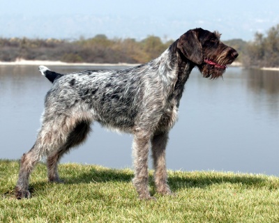 A typical GWP